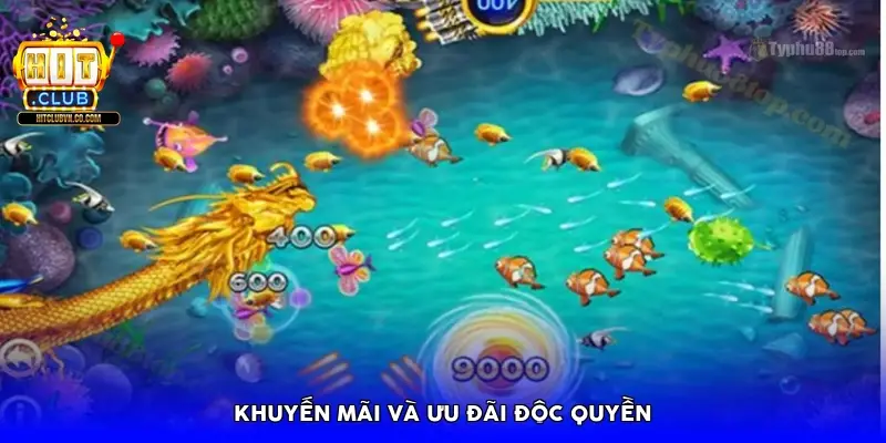Khuyến mãi và ưu đãi độc quyền
