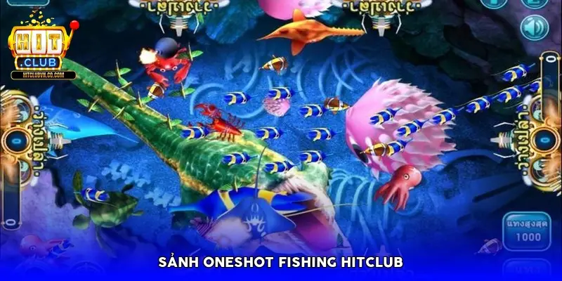 Sảnh Oneshot Fishing HitClub Sảnh Oneshot Fishing HitClub